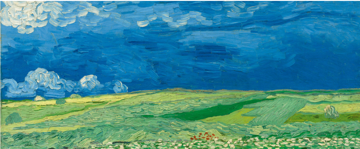 Visite de l'exposition « Van Gogh à Auvers-sur-Oise. Les derniers mois » photo
